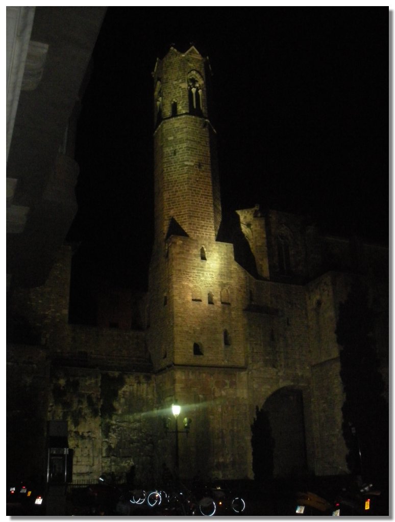 DSCN1133.jpg