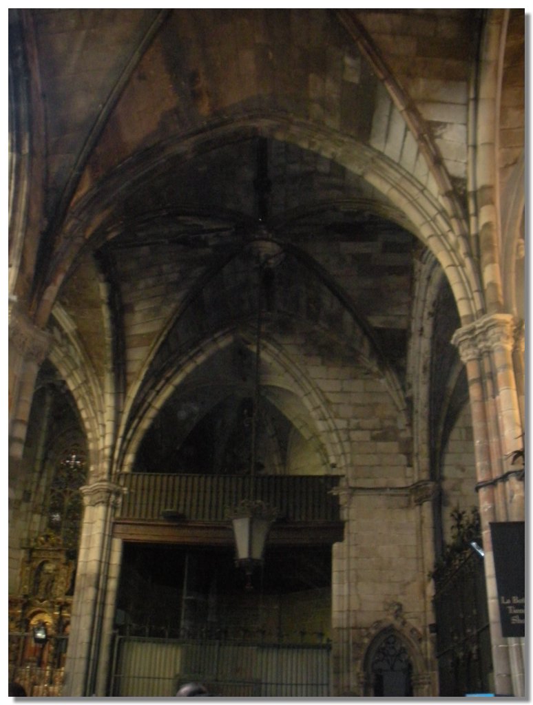 DSCN1169.jpg