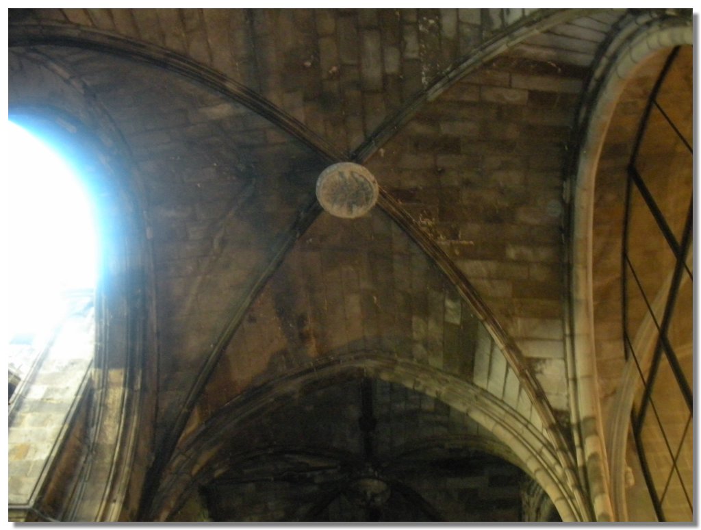 DSCN1178.jpg