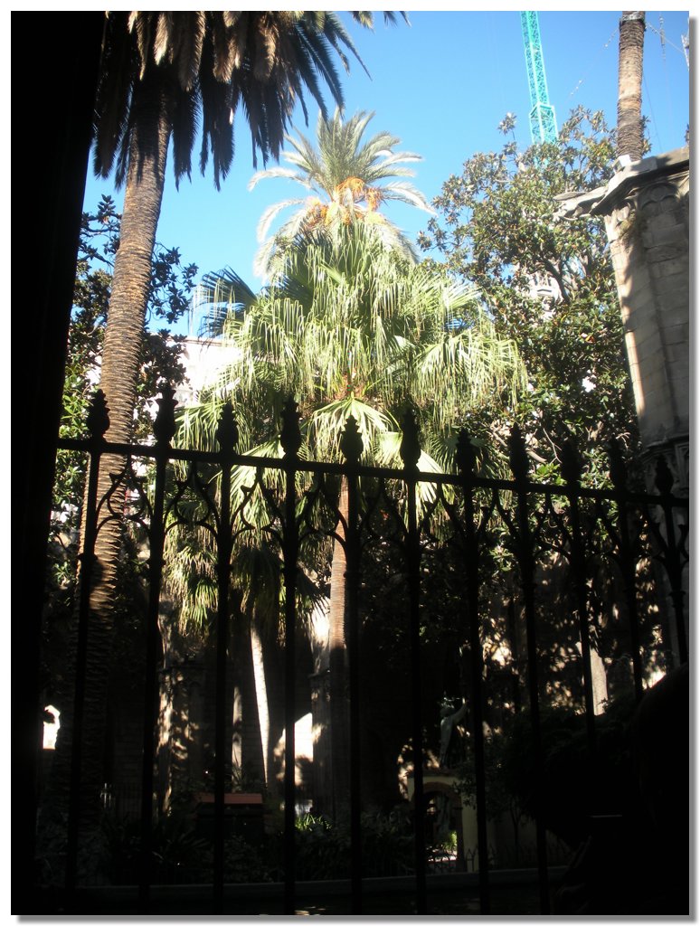 DSCN1187.jpg