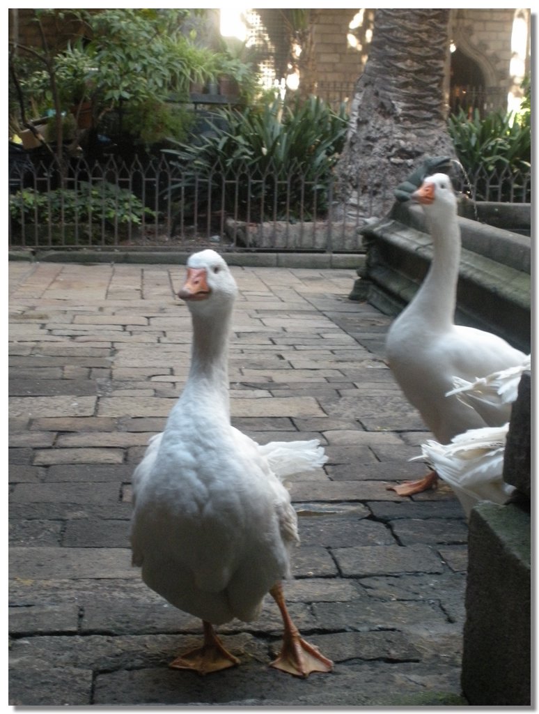 DSCN1205.jpg