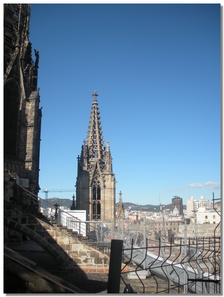 DSCN1241.jpg