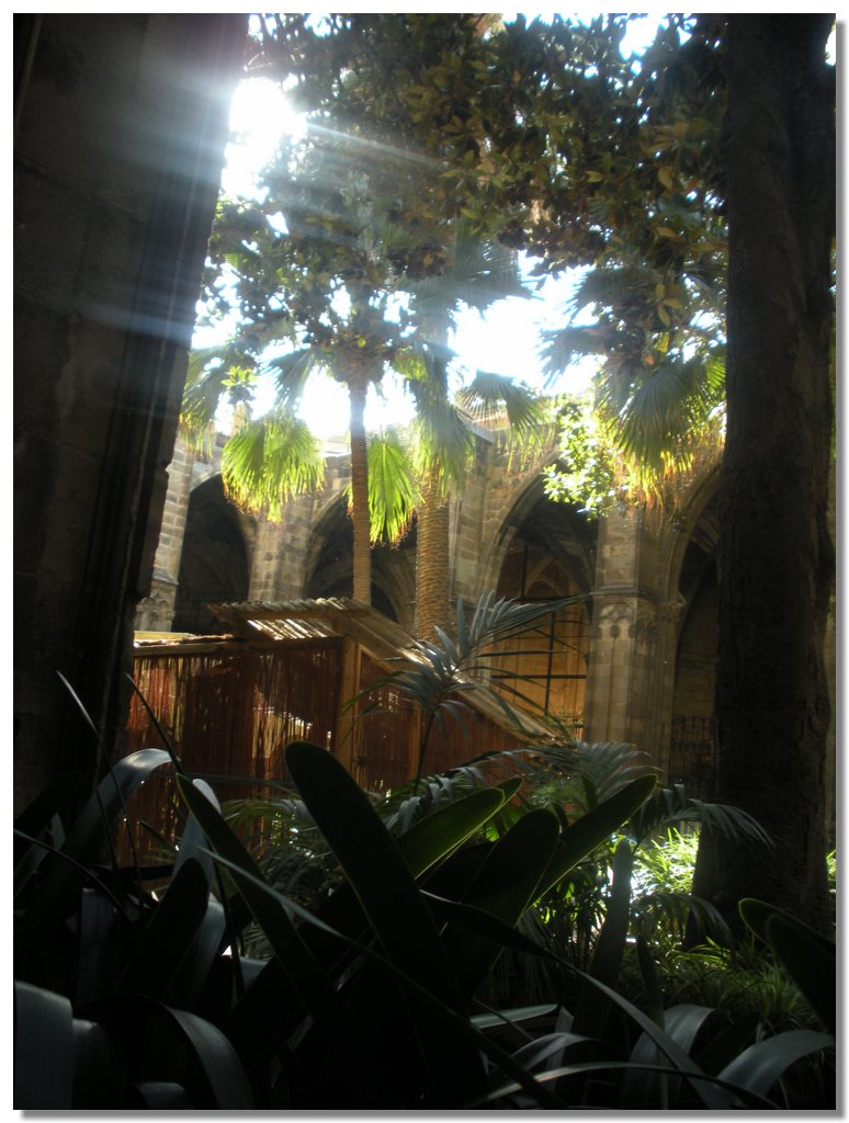 DSCN1295.jpg
