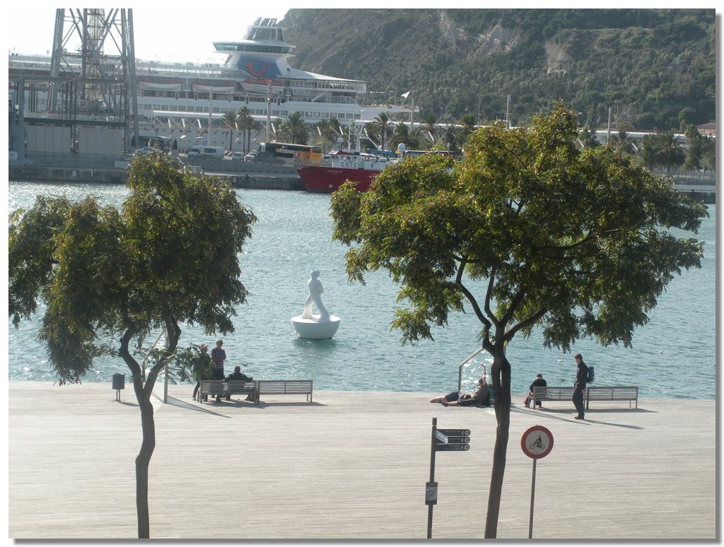 DSCN1556.jpg