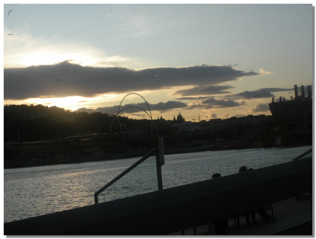 DSCN1601.jpg