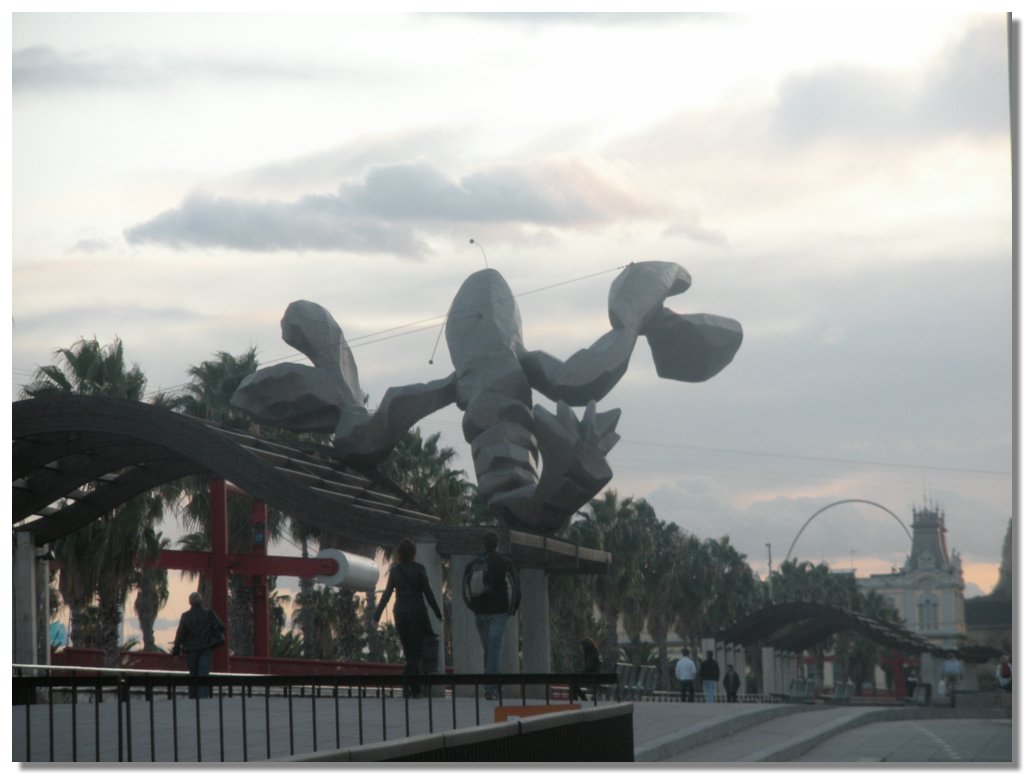 DSCN1718.jpg