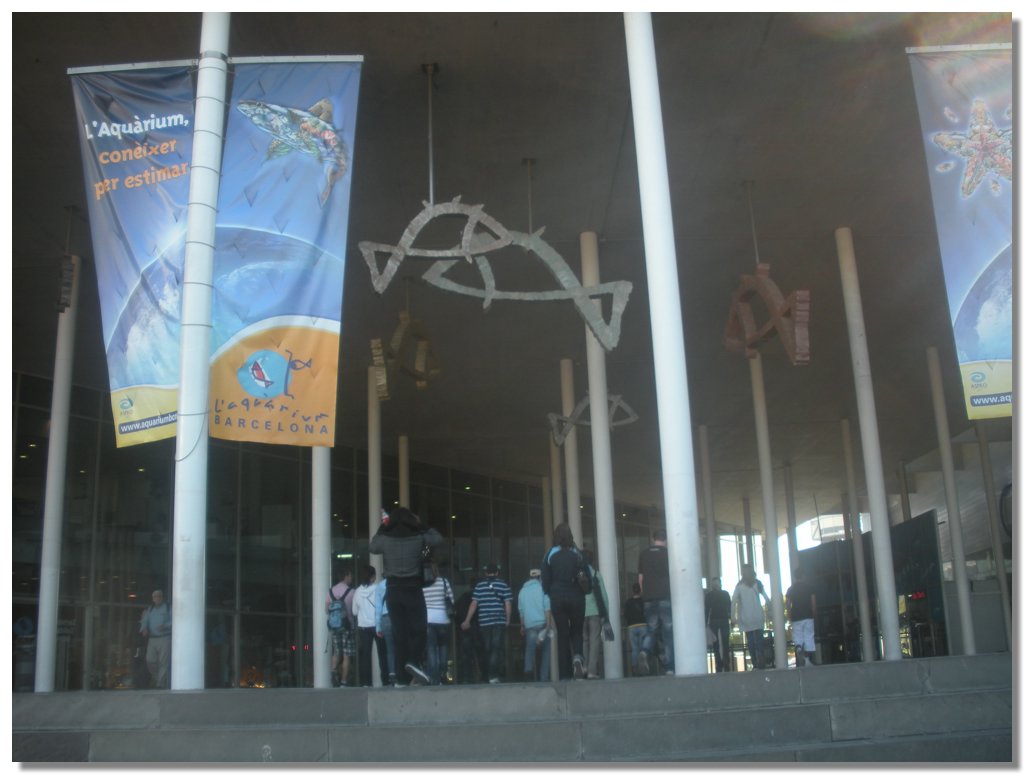 DSCN1916.jpg