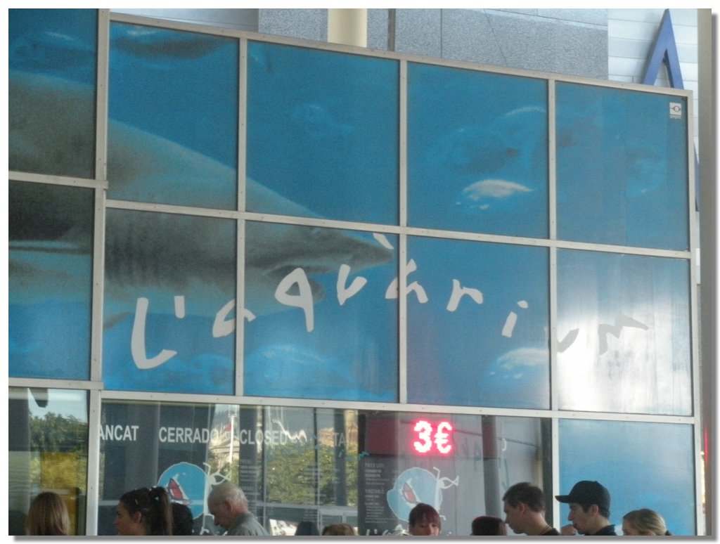 DSCN1934.jpg