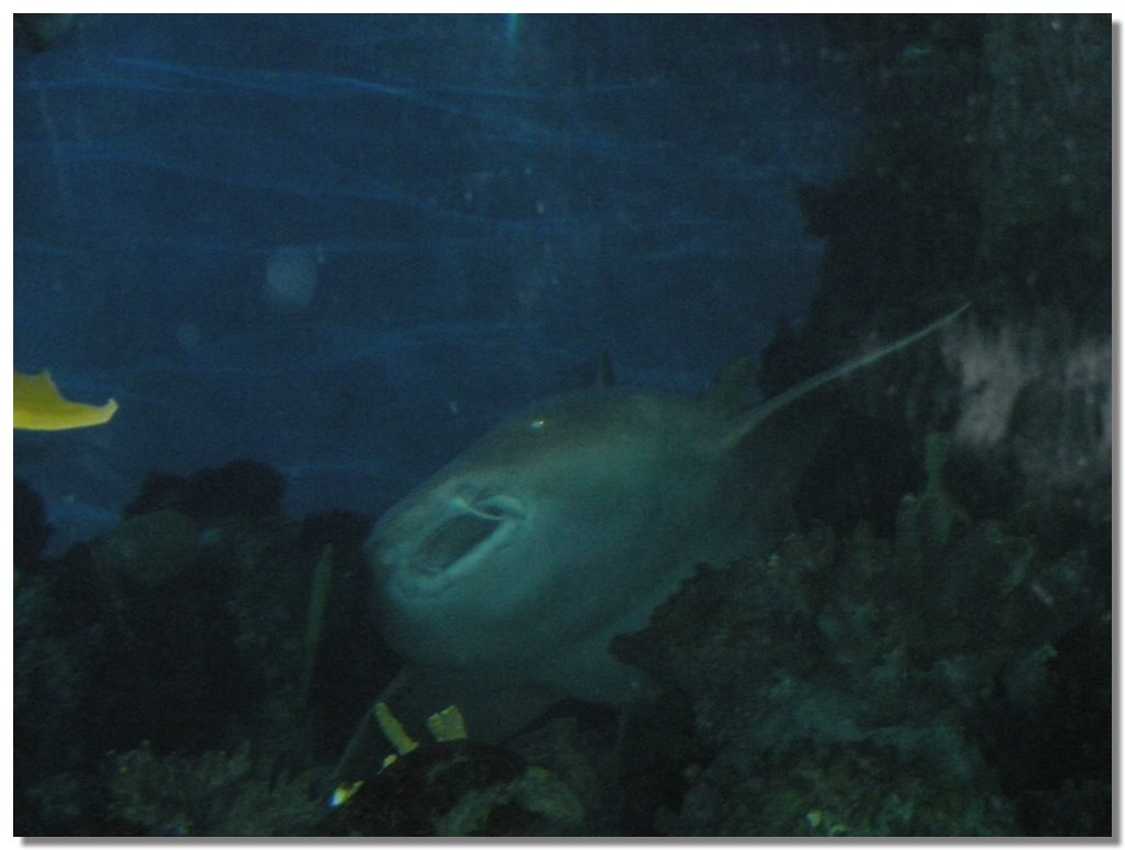 DSCN1952.jpg