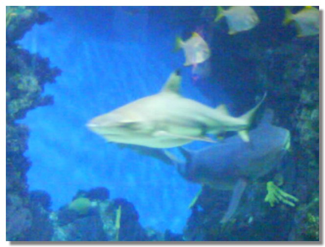DSCN1988.jpg