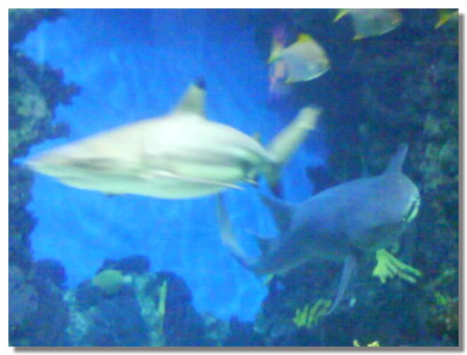 DSCN1997.jpg