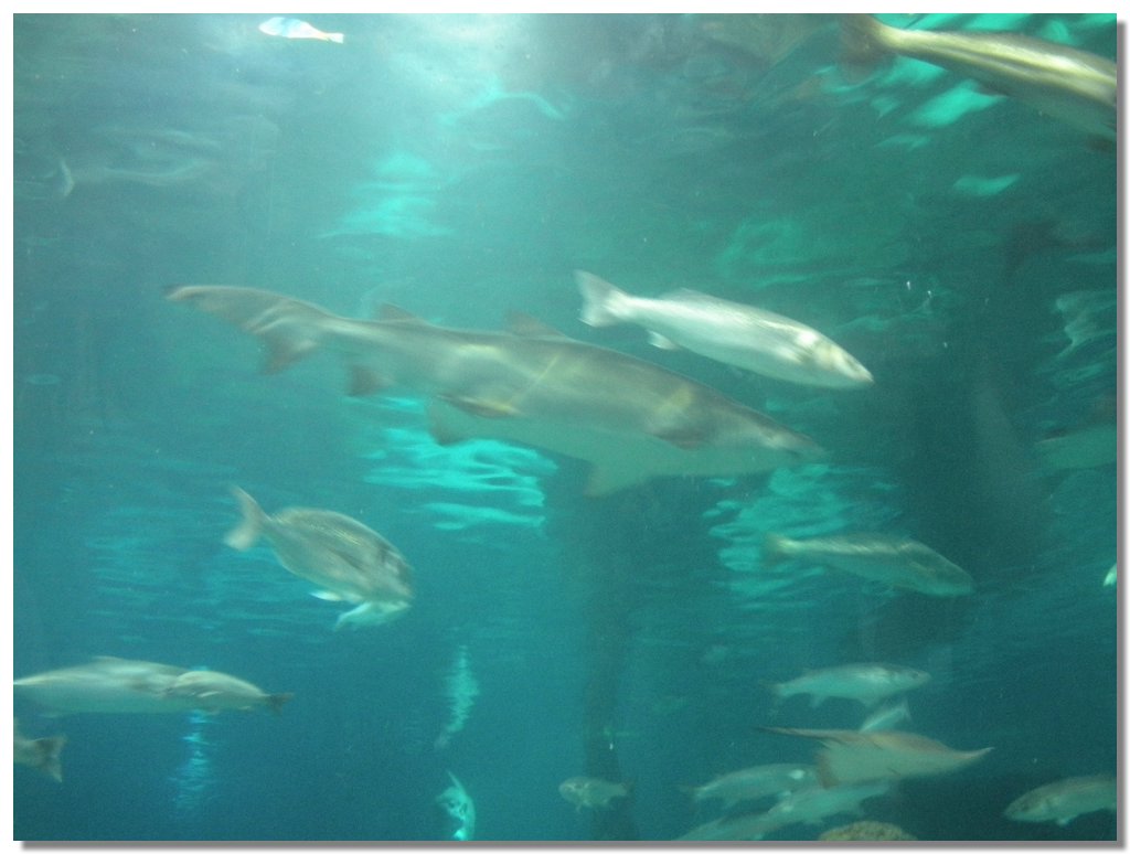 DSCN2060.jpg