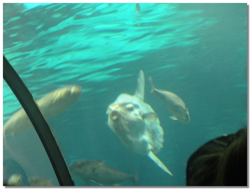 DSCN2096.jpg
