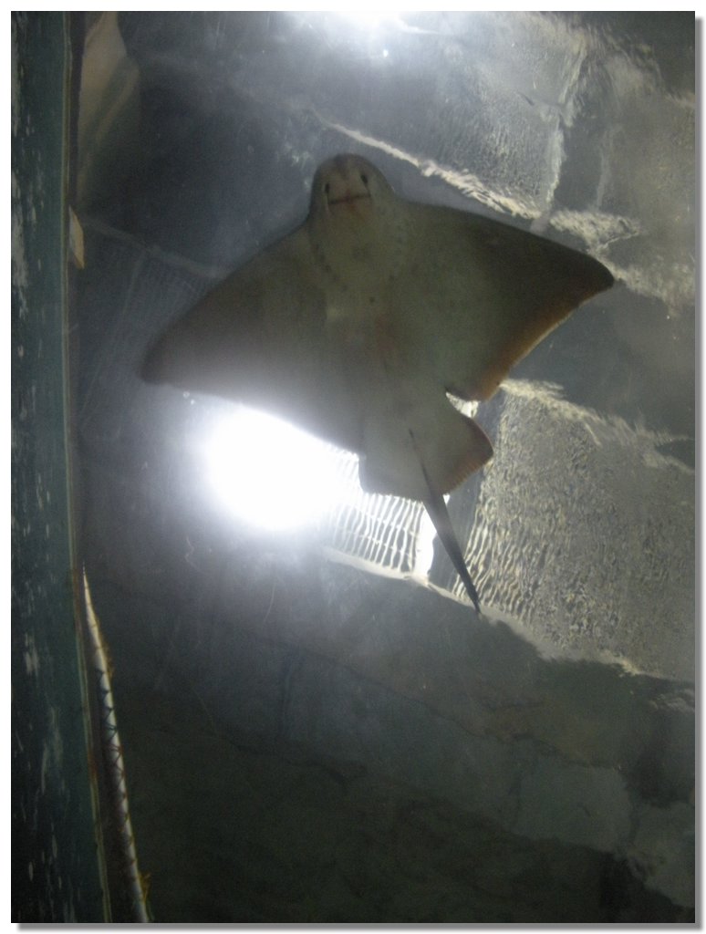 DSCN2123.jpg
