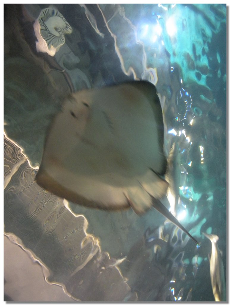 DSCN2132.jpg
