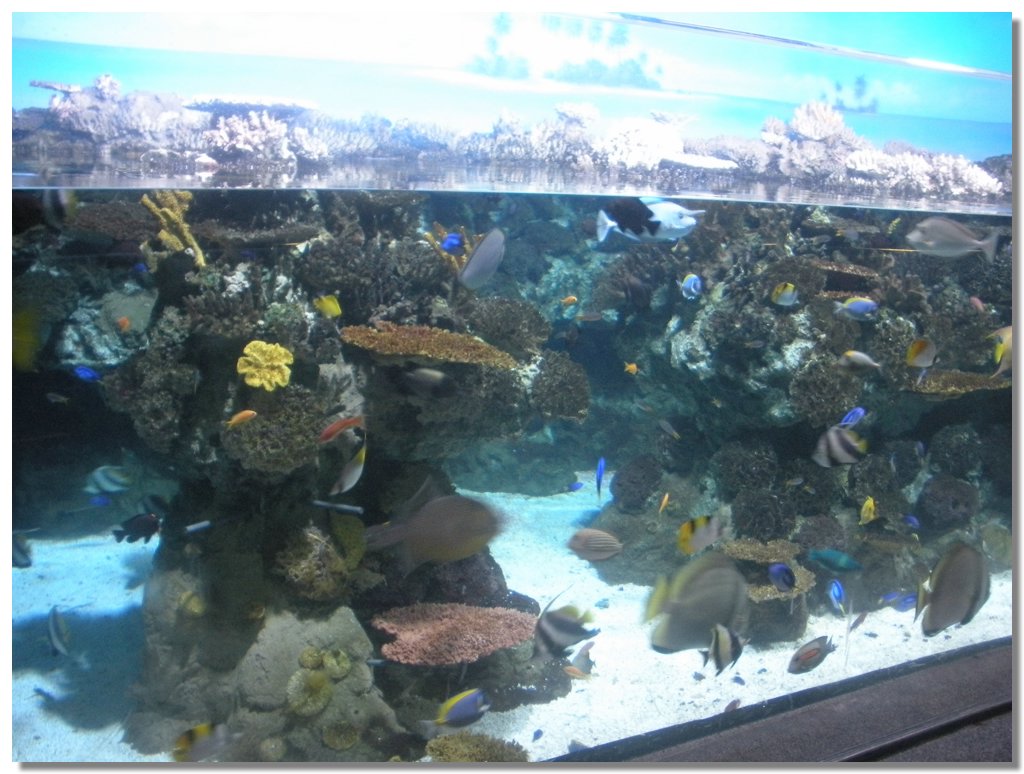 DSCN2159.jpg