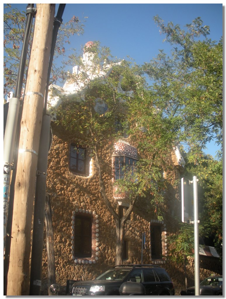 DSCN2267.jpg