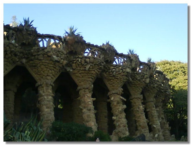 DSCN2384.jpg