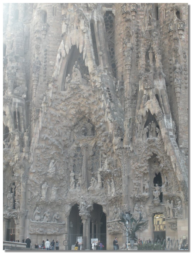 DSCN2618.jpg