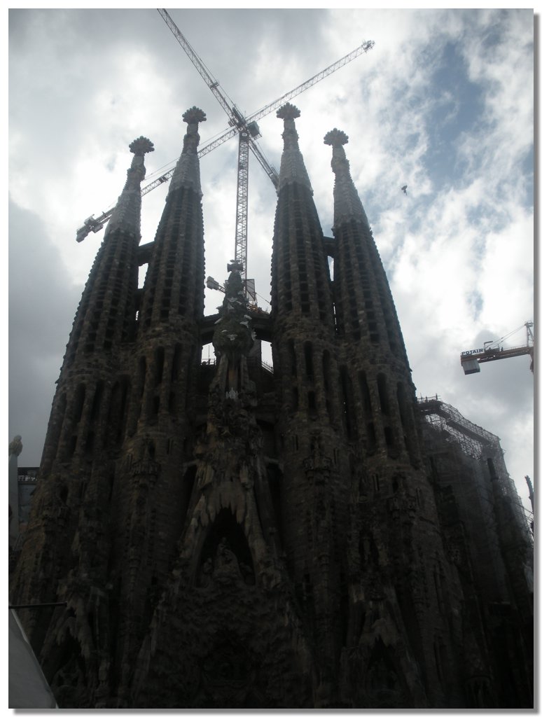 DSCN2654.jpg