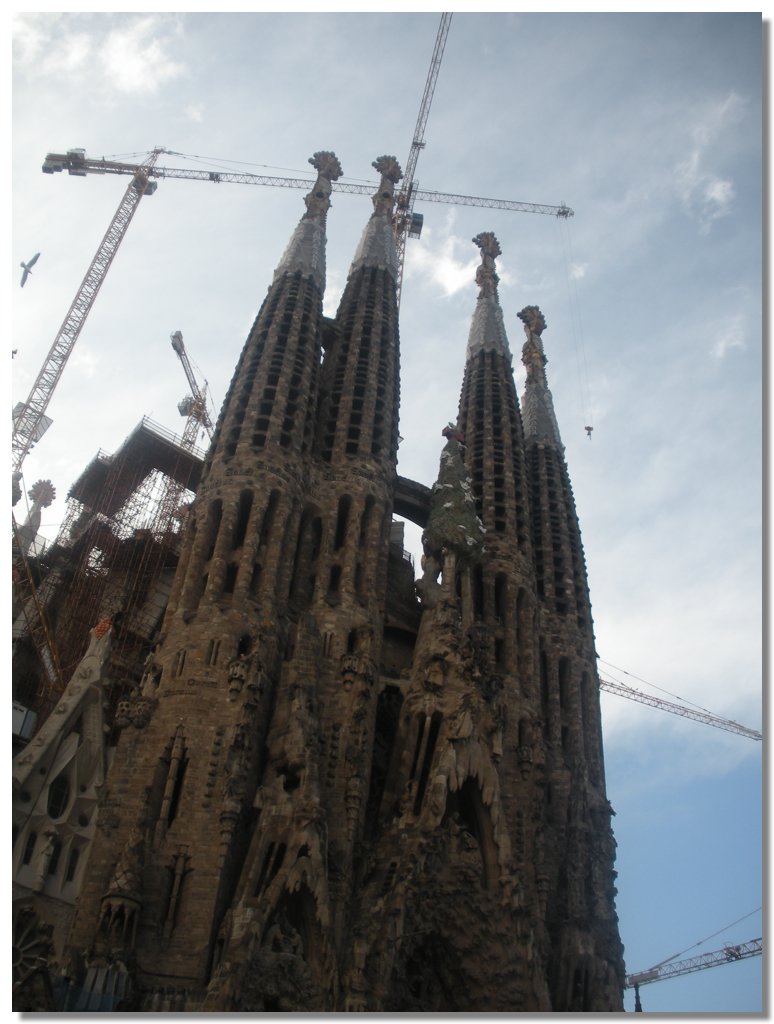 DSCN2672.jpg