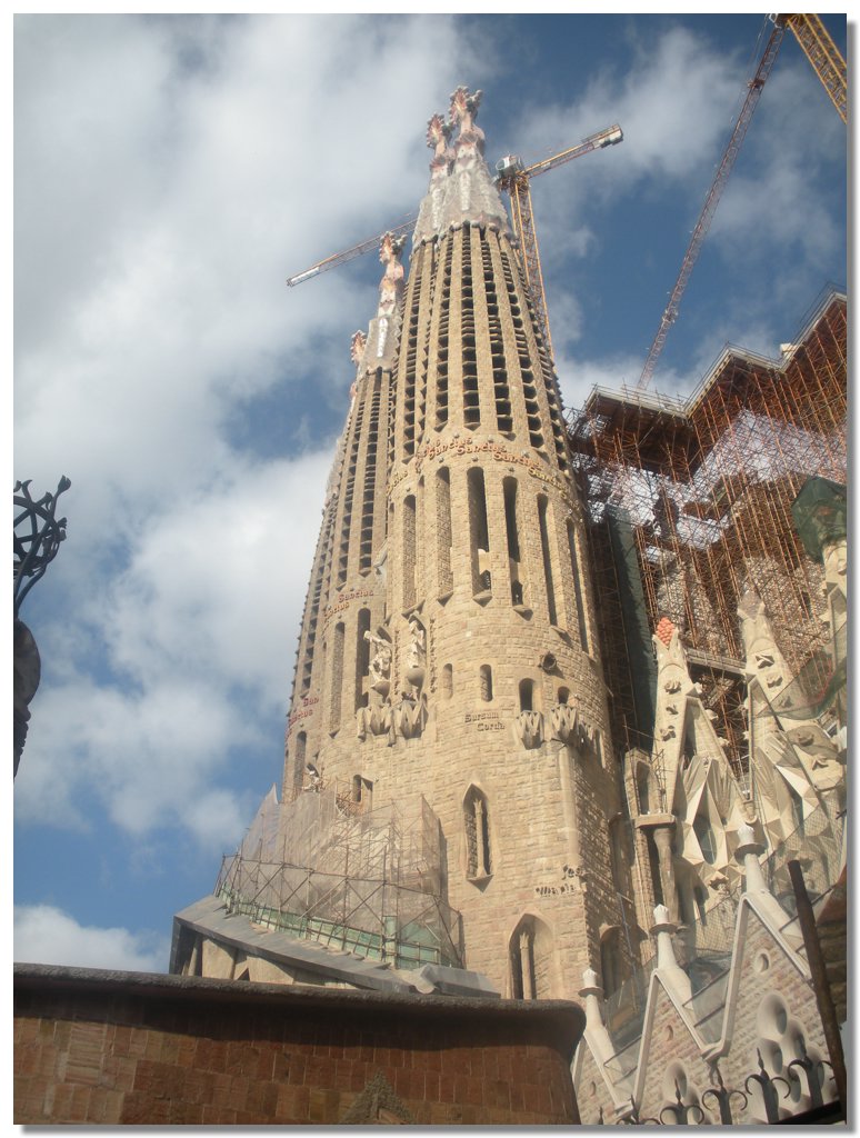 DSCN2690.jpg