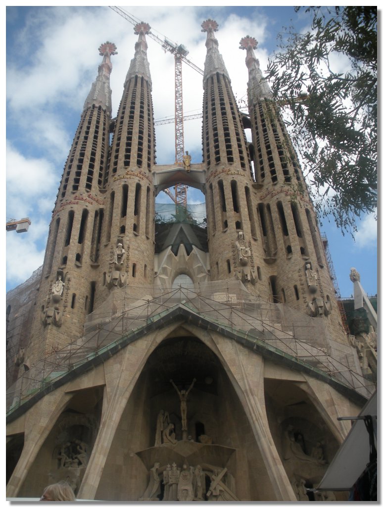 DSCN2726.jpg