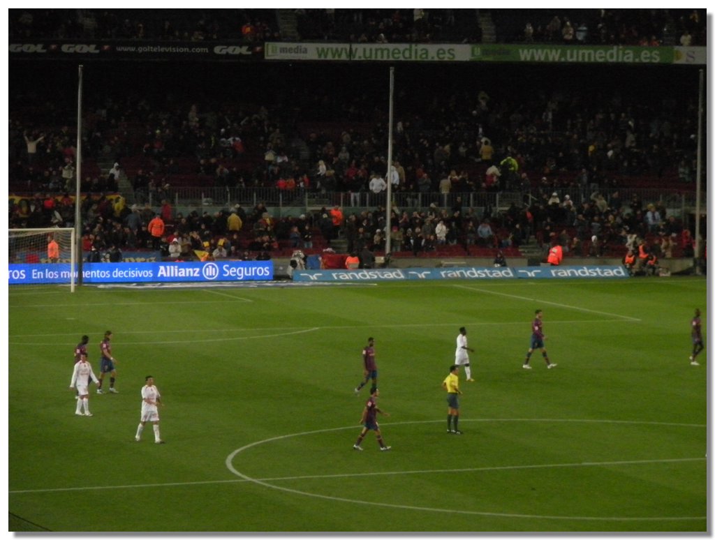 DSCN3131.jpg