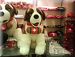 DSCN1106.jpg