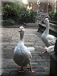 DSCN1205.jpg