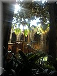 DSCN1295.jpg