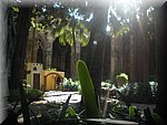 DSCN1313.jpg
