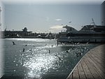 DSCN1484.jpg