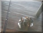 DSCN1583.jpg
