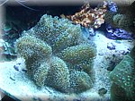 DSCN2051.jpg