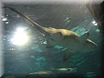 DSCN2078.jpg