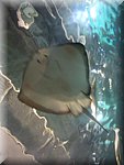 DSCN2132.jpg