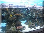 DSCN2159.jpg