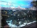 DSCN2168.jpg