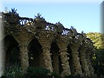 DSCN2384.jpg