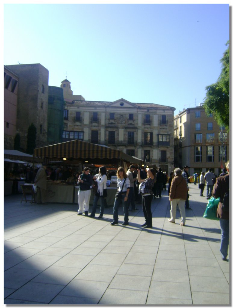DSC05139.JPG