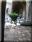 DSC05092.JPG