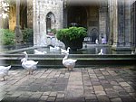 DSC05094.JPG