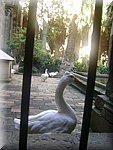 DSC05095.JPG