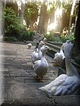 DSC05096.JPG
