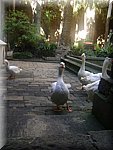 DSC05097.JPG