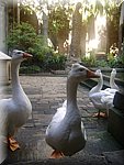 DSC05098.JPG