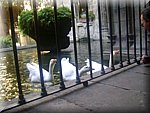DSC05099.JPG