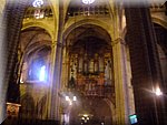 DSC05102.JPG