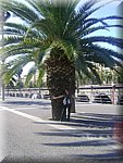 DSC05152.JPG
